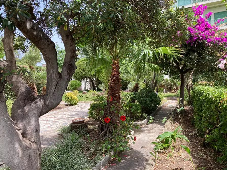 Immagine 11 di Villa in vendita  in Via del faro a Anzio