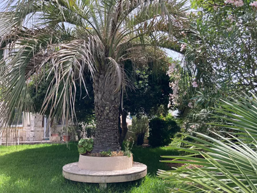 Immagine 39 di Villa in vendita  in Via del faro a Anzio