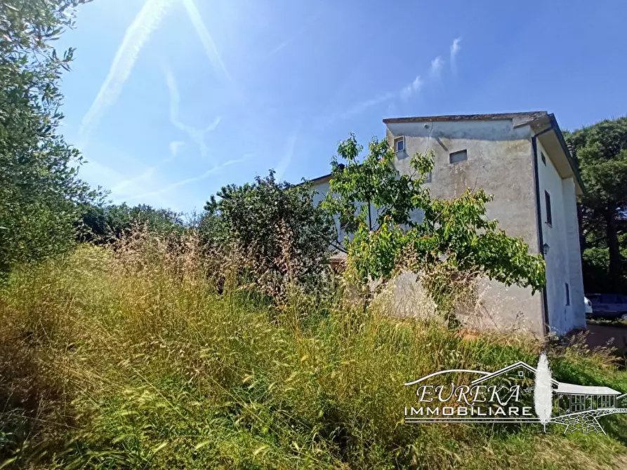 Immagine 3 di Casa indipendente in vendita  in piana a Castiglione Del Lago