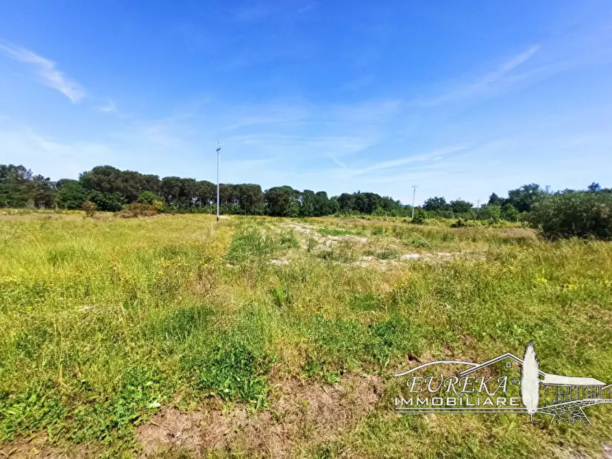 Immagine 23 di Casa indipendente in vendita  in piana a Castiglione Del Lago