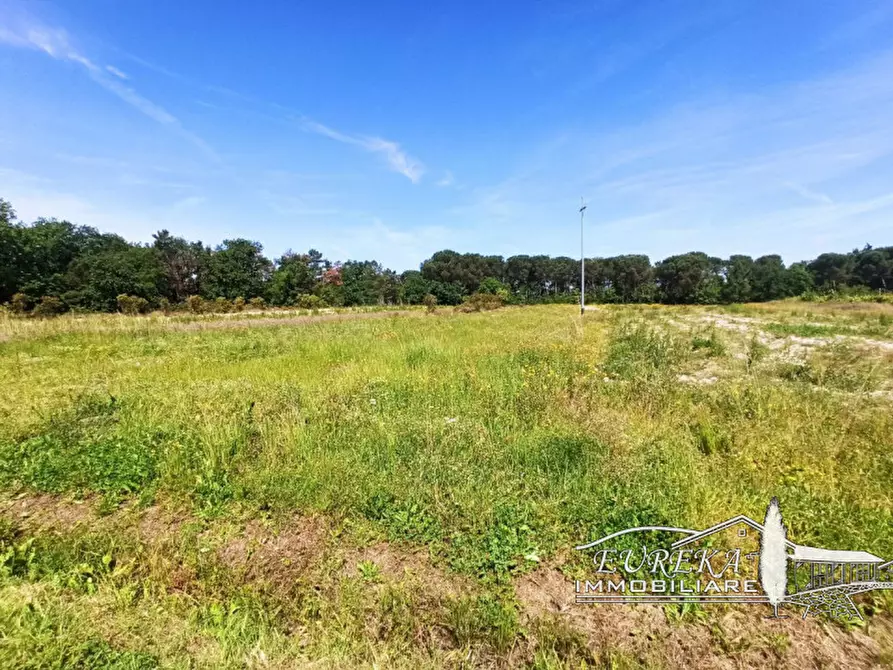 Immagine 24 di Casa indipendente in vendita  in piana a Castiglione Del Lago