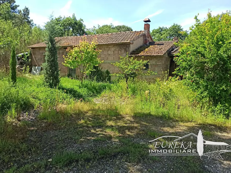 Immagine 26 di Casa indipendente in vendita  in piana a Castiglione Del Lago
