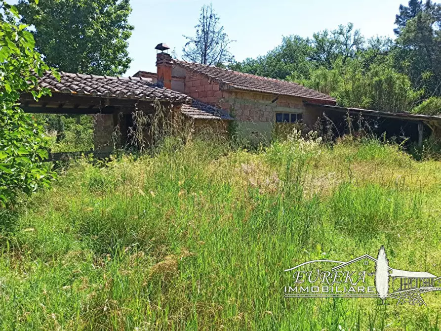 Immagine 28 di Casa indipendente in vendita  in piana a Castiglione Del Lago