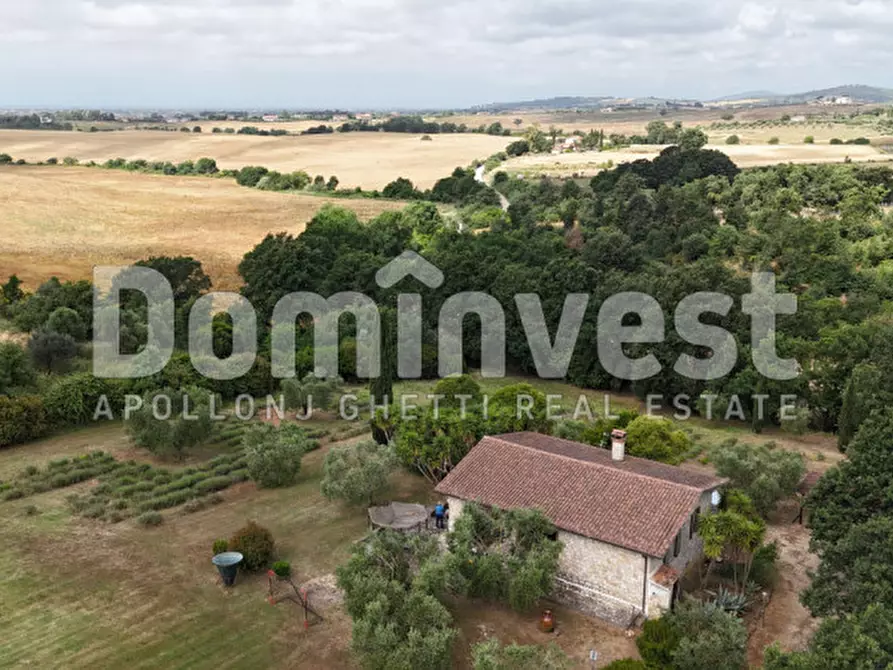 Immagine 1 di Rustico / casale in affitto  in Strada dell'Abbadia a Capalbio