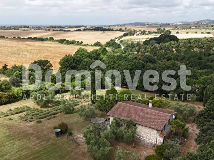 Immagine 2 di Rustico / casale in affitto  in Strada dell'Abbadia a Capalbio