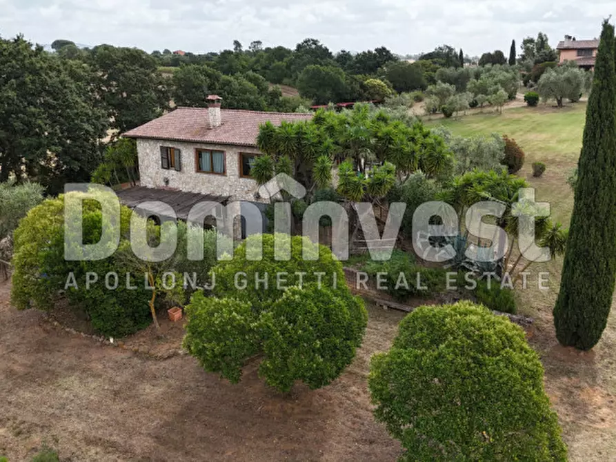 Immagine 6 di Rustico / casale in affitto  in Strada dell'Abbadia a Capalbio