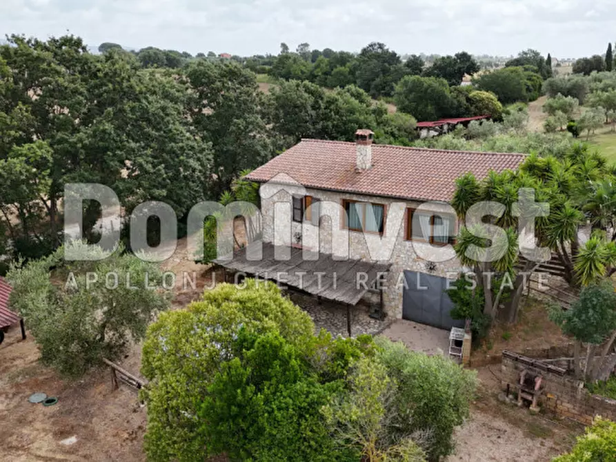 Immagine 7 di Rustico / casale in affitto  in Strada dell'Abbadia a Capalbio