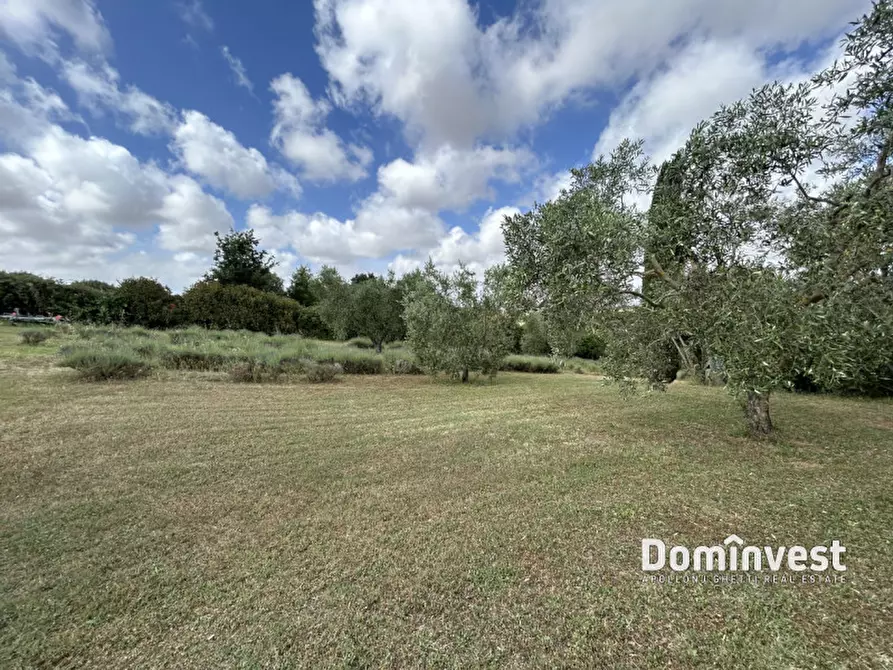 Immagine 8 di Rustico / casale in affitto  in Strada dell'Abbadia a Capalbio