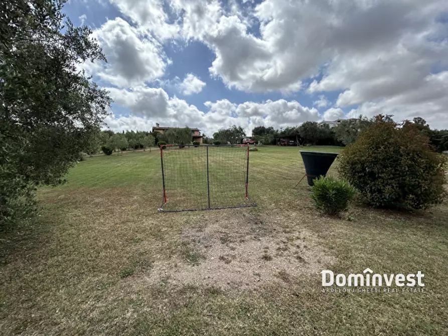 Immagine 9 di Rustico / casale in affitto  in Strada dell'Abbadia a Capalbio