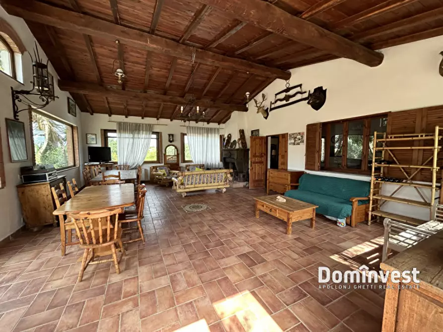 Immagine 11 di Rustico / casale in affitto  in Strada dell'Abbadia a Capalbio