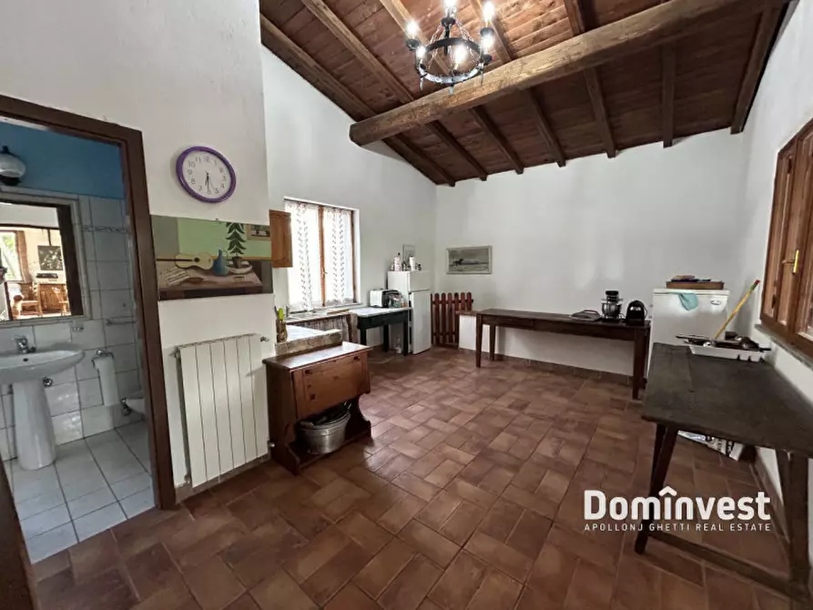 Immagine 12 di Rustico / casale in affitto  in Strada dell'Abbadia a Capalbio