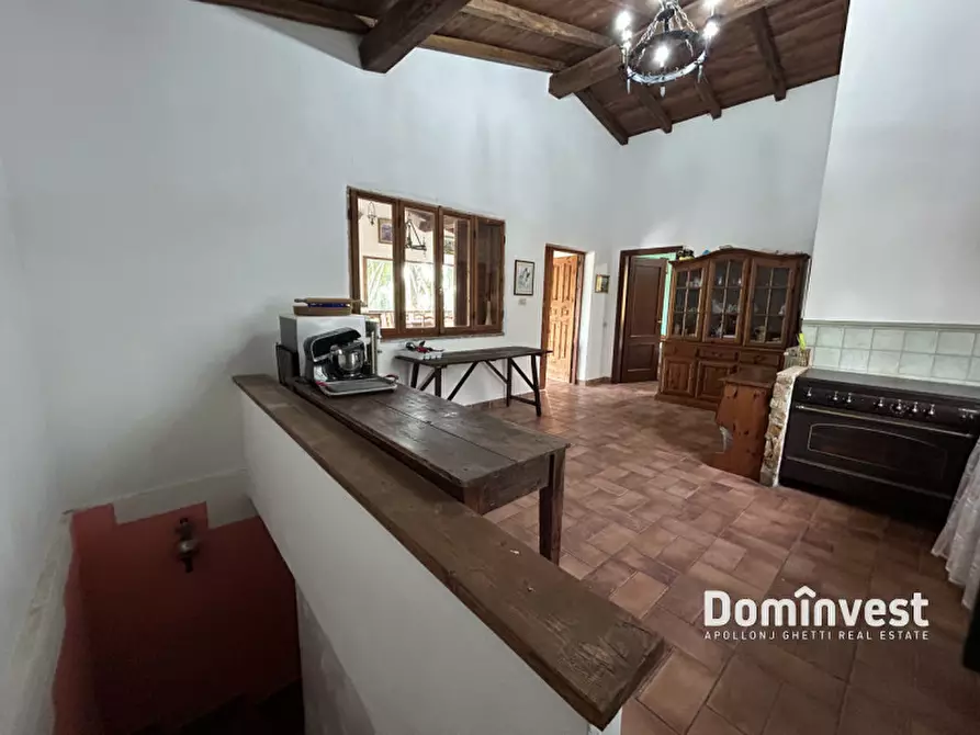 Immagine 15 di Rustico / casale in affitto  in Strada dell'Abbadia a Capalbio