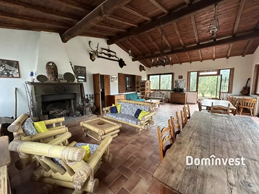 Immagine 19 di Rustico / casale in affitto  in Strada dell'Abbadia a Capalbio