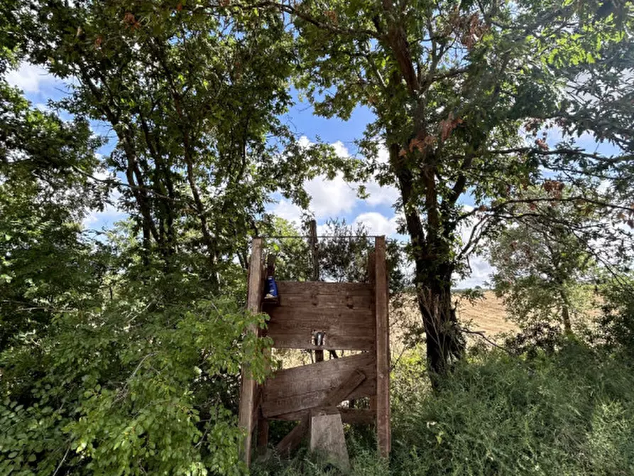 Immagine 20 di Rustico / casale in affitto  in Strada dell'Abbadia a Capalbio