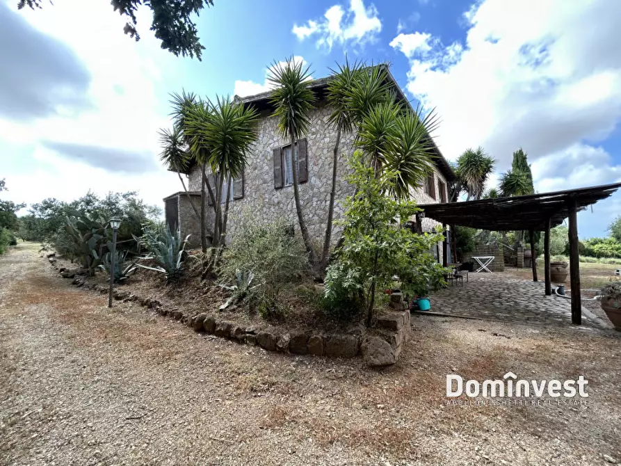 Immagine 21 di Rustico / casale in affitto  in Strada dell'Abbadia a Capalbio