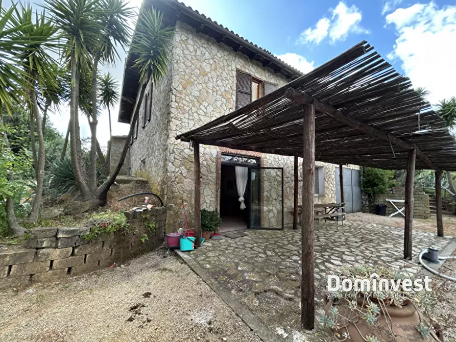 Immagine 22 di Rustico / casale in affitto  in Strada dell'Abbadia a Capalbio