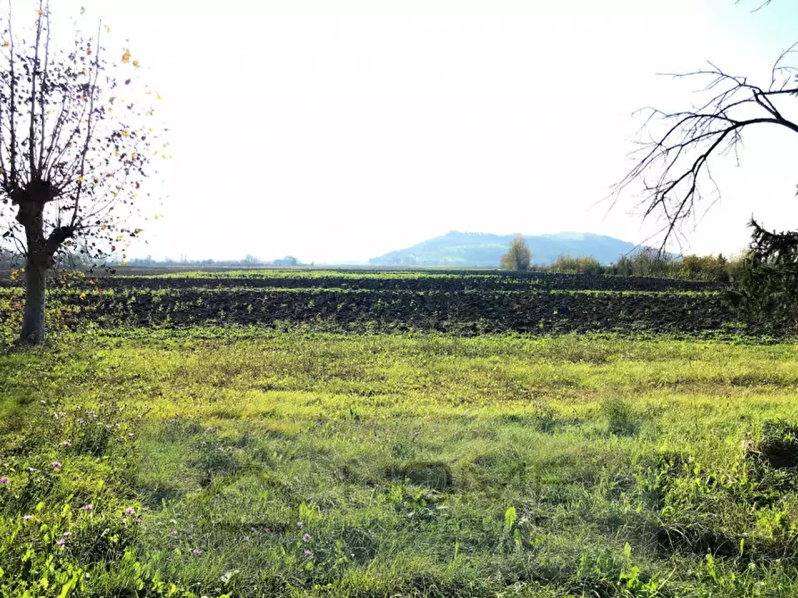 Immagine 19 di Rustico / casale in vendita  in via lovolo a Rovolon