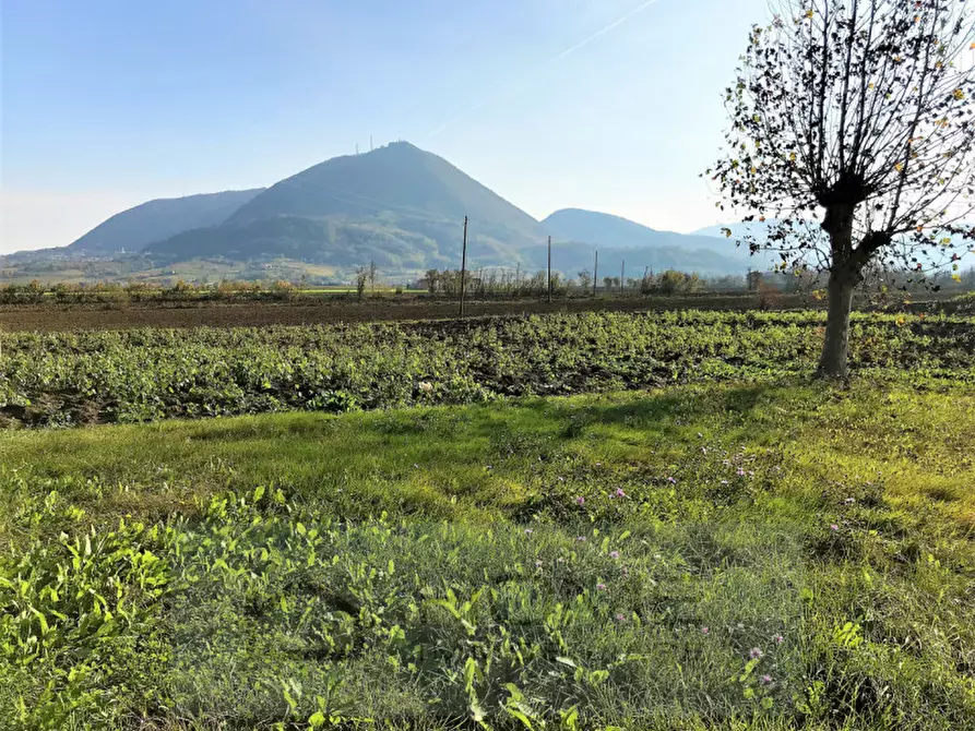 Immagine 22 di Rustico / casale in vendita  in via lovolo a Rovolon