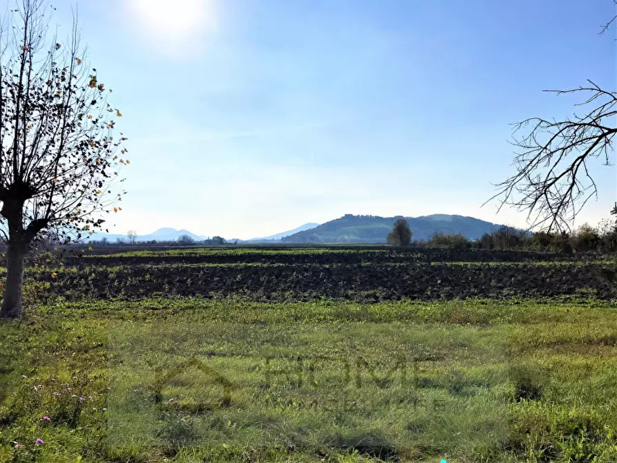 Immagine 33 di Rustico / casale in vendita  in via lovolo a Rovolon