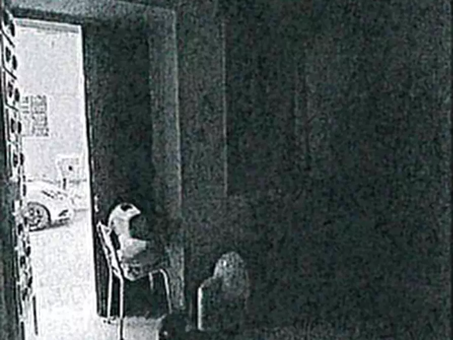 Immagine 2 di Villetta a schiera in vendita  in Via Vittorio Emanuele II 16/G a Palestro