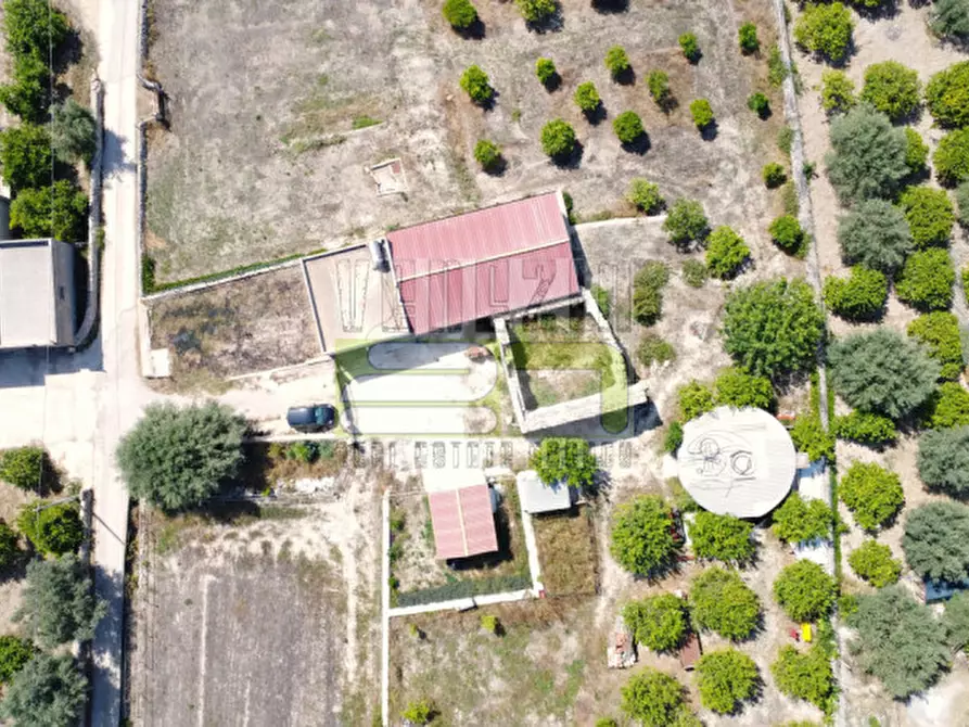 Immagine 11 di Terreno in vendita  in c/da Torre a Avola