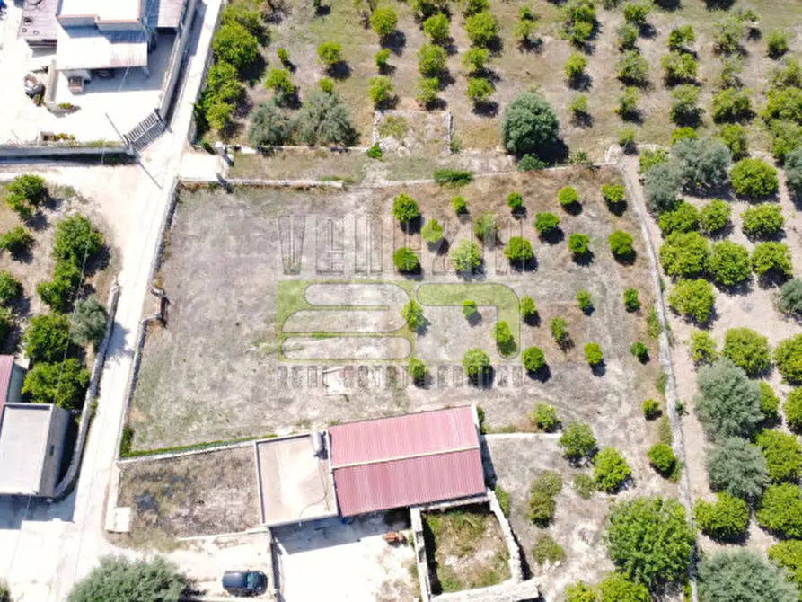 Immagine 12 di Terreno in vendita  in c/da Torre a Avola
