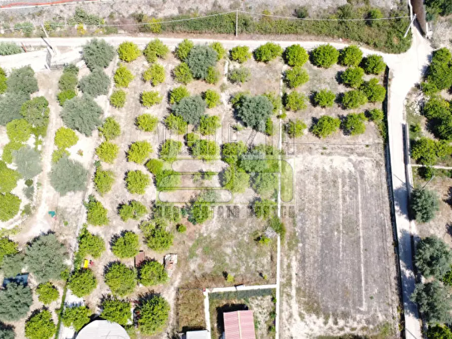 Immagine 13 di Terreno in vendita  in c/da Torre a Avola