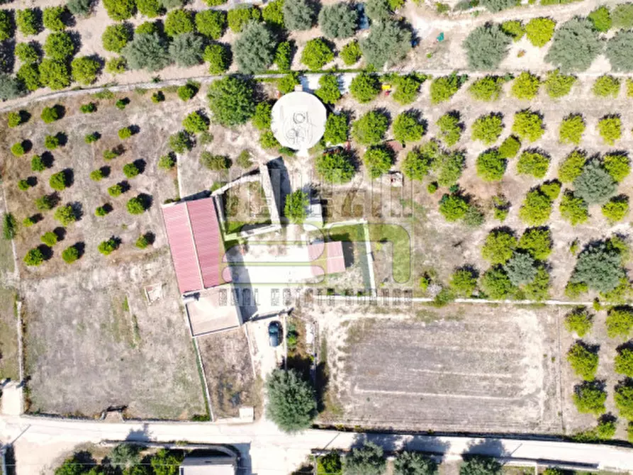Immagine 15 di Terreno in vendita  in c/da Torre a Avola