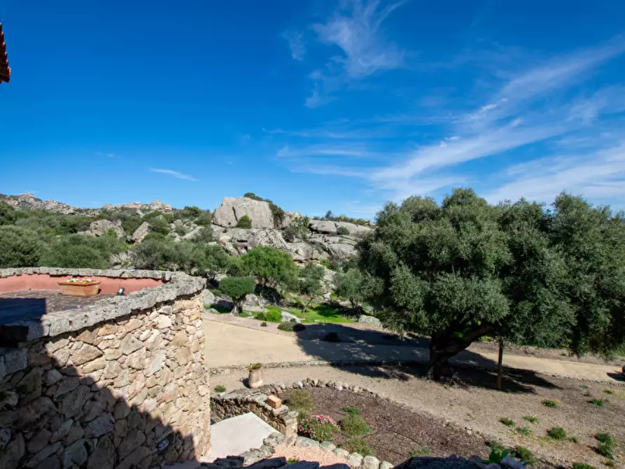 Immagine 32 di Villa in vendita  a Arzachena