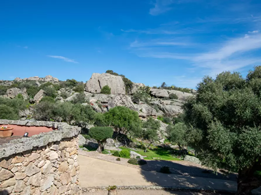 Immagine 33 di Villa in vendita  a Arzachena