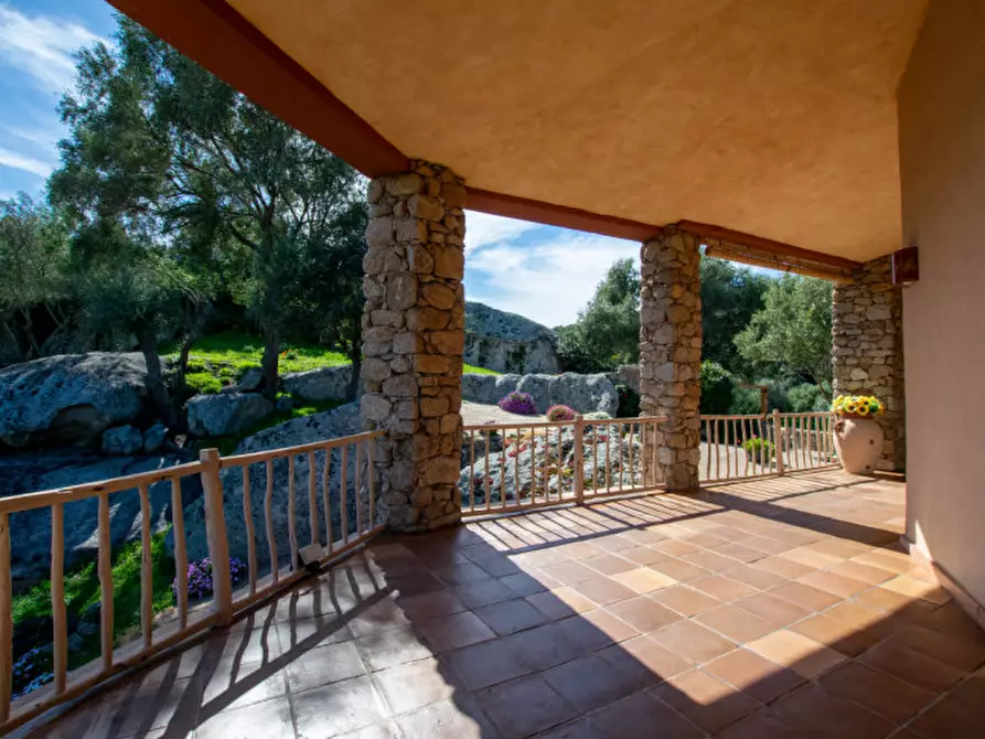 Immagine 34 di Villa in vendita  a Arzachena