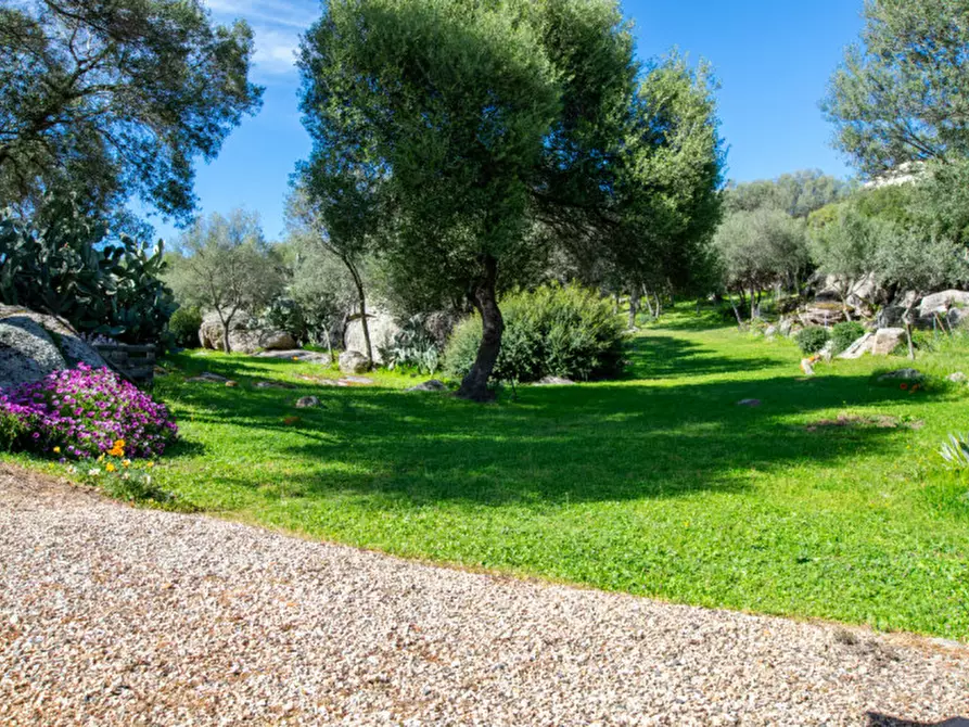 Immagine 40 di Villa in vendita  a Arzachena