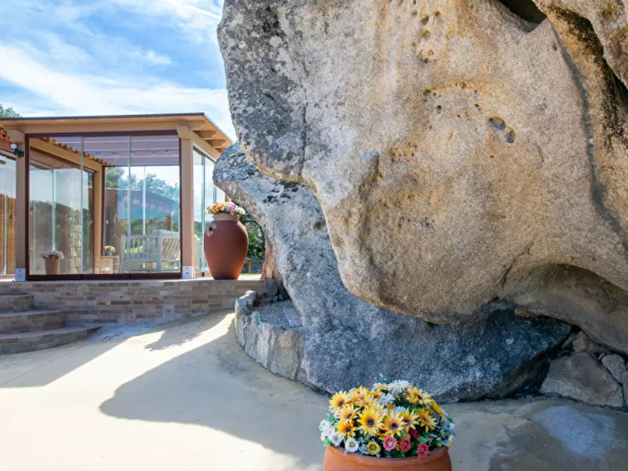 Immagine 43 di Villa in vendita  a Arzachena