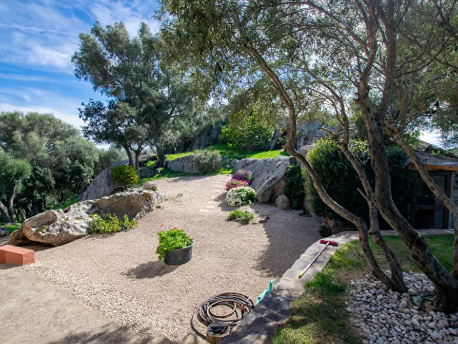 Immagine 48 di Villa in vendita  a Arzachena