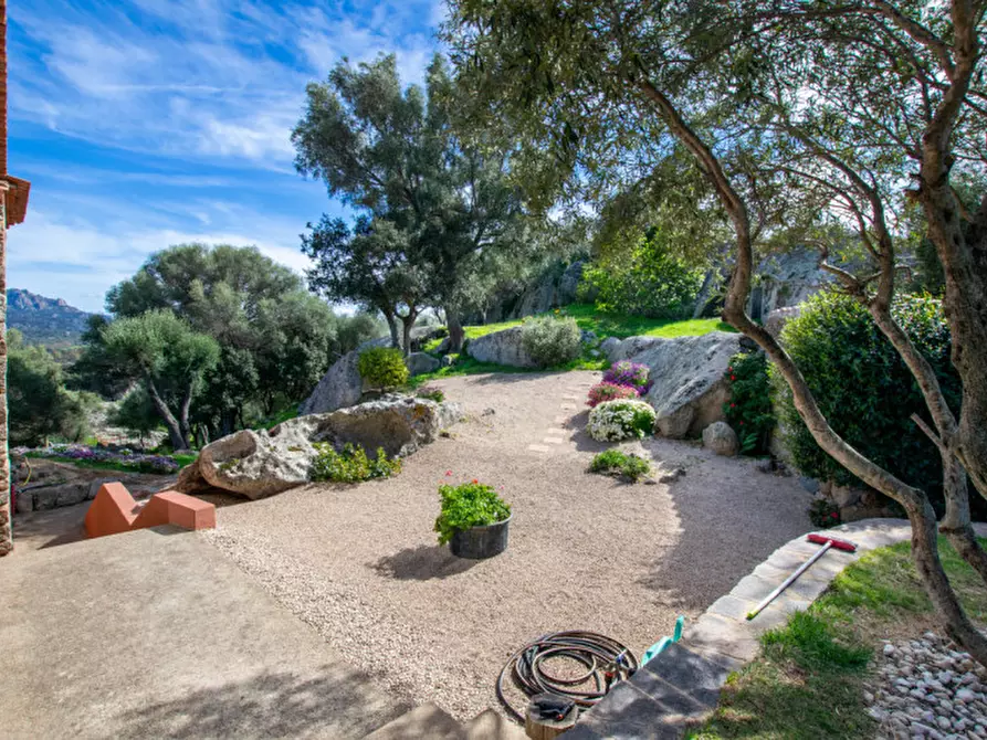 Immagine 49 di Villa in vendita  a Arzachena