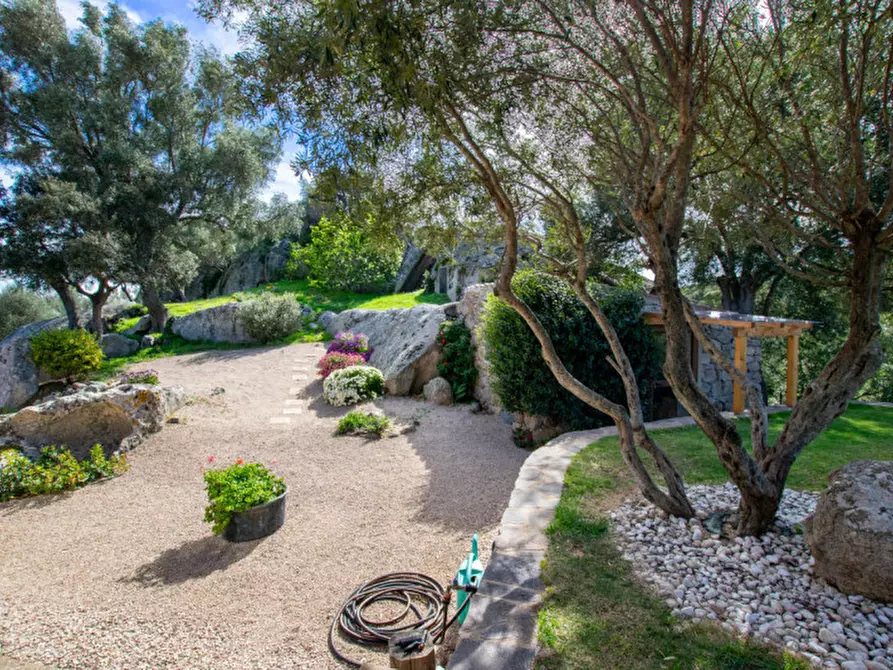 Immagine 50 di Villa in vendita  a Arzachena