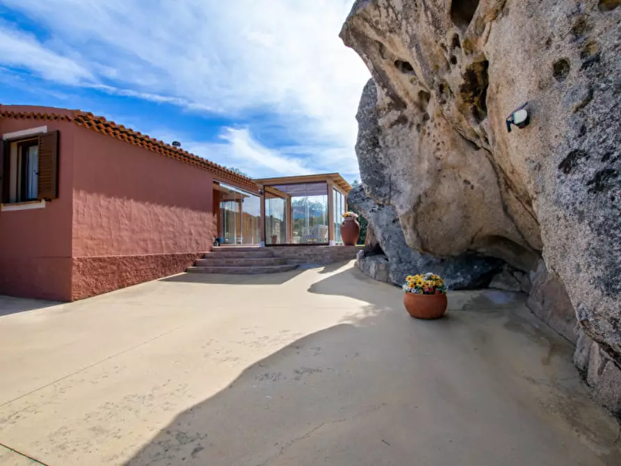 Immagine 51 di Villa in vendita  a Arzachena
