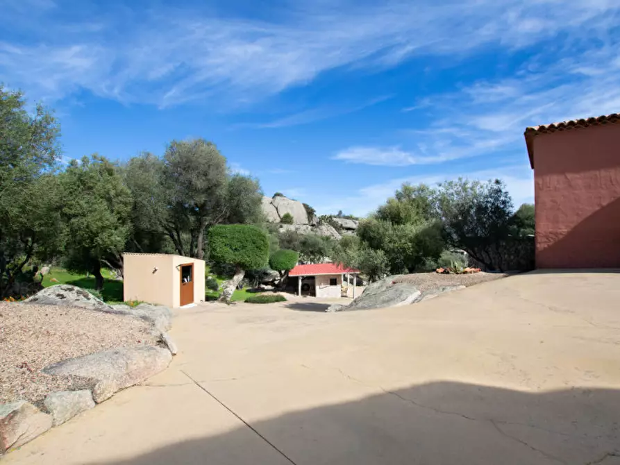 Immagine 52 di Villa in vendita  a Arzachena