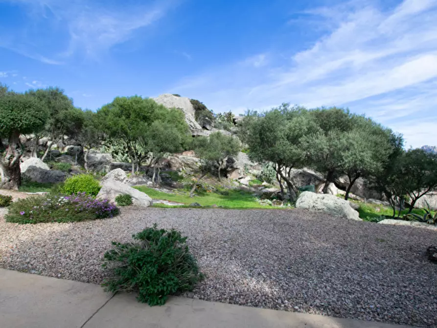 Immagine 53 di Villa in vendita  a Arzachena