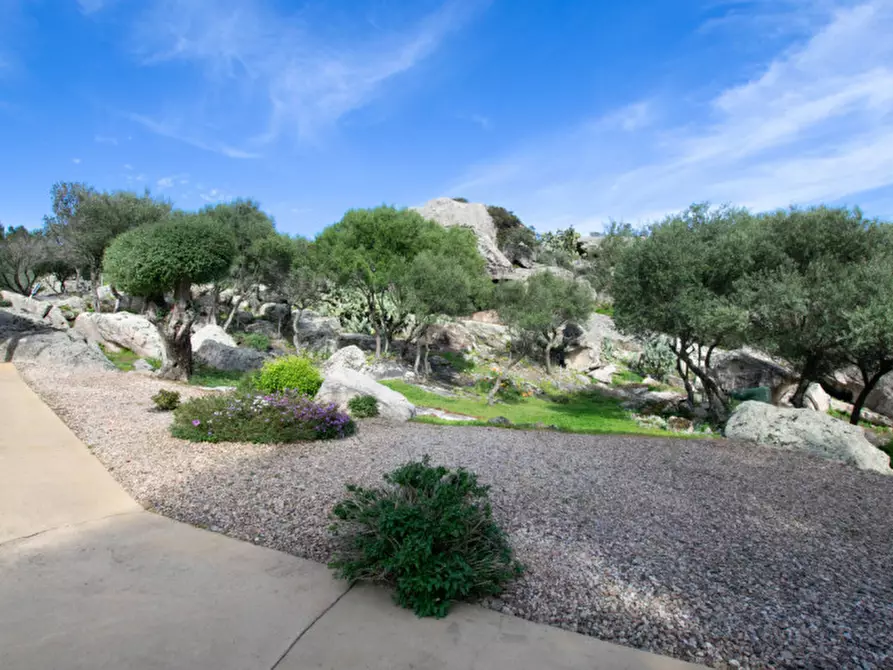 Immagine 54 di Villa in vendita  a Arzachena