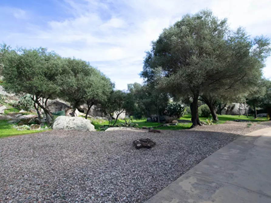 Immagine 55 di Villa in vendita  a Arzachena