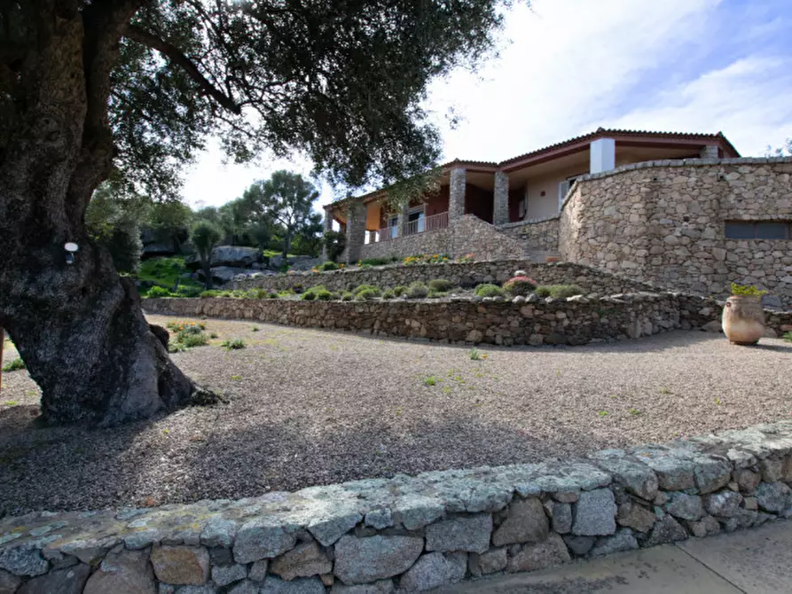 Immagine 56 di Villa in vendita  a Arzachena