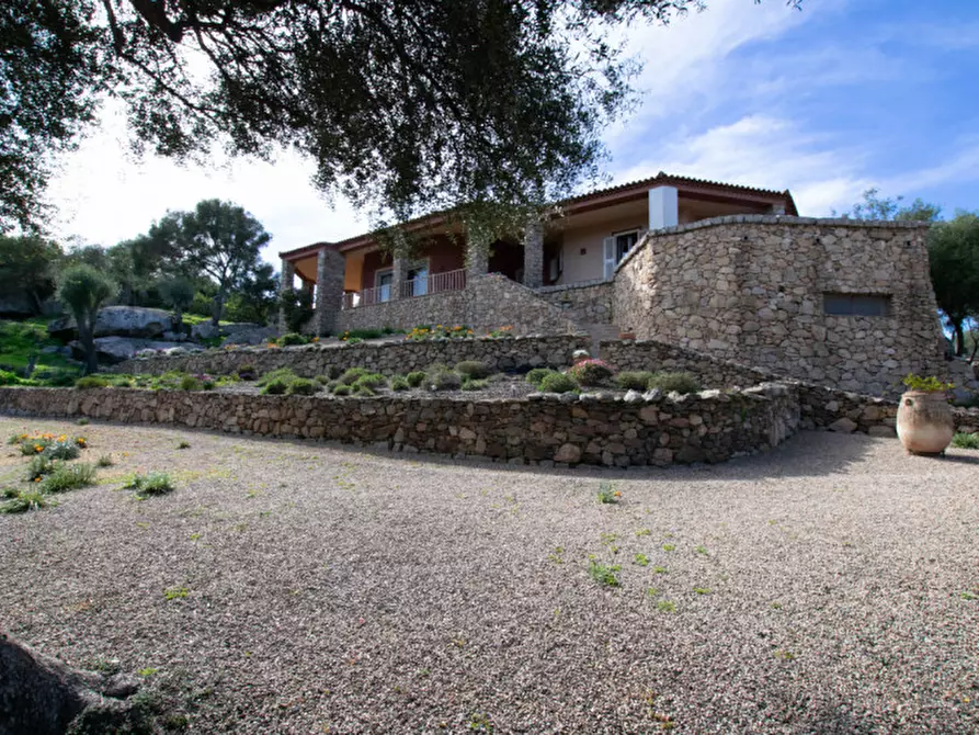 Immagine 57 di Villa in vendita  a Arzachena