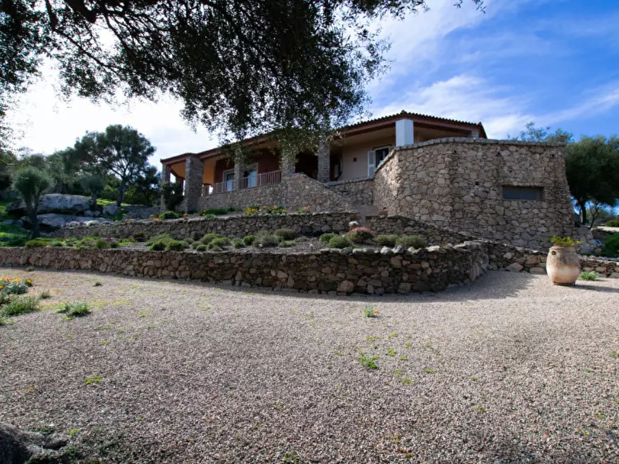 Immagine 58 di Villa in vendita  a Arzachena