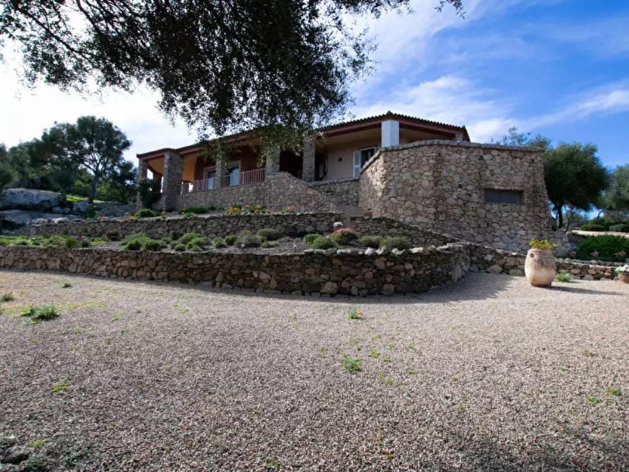 Immagine 59 di Villa in vendita  a Arzachena