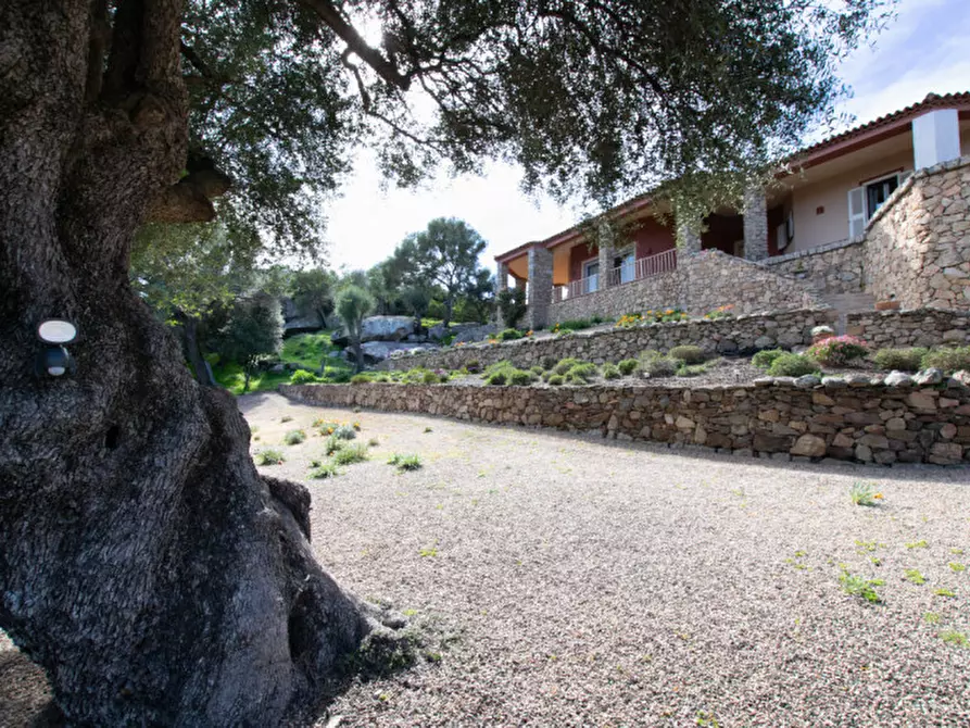 Immagine 60 di Villa in vendita  a Arzachena