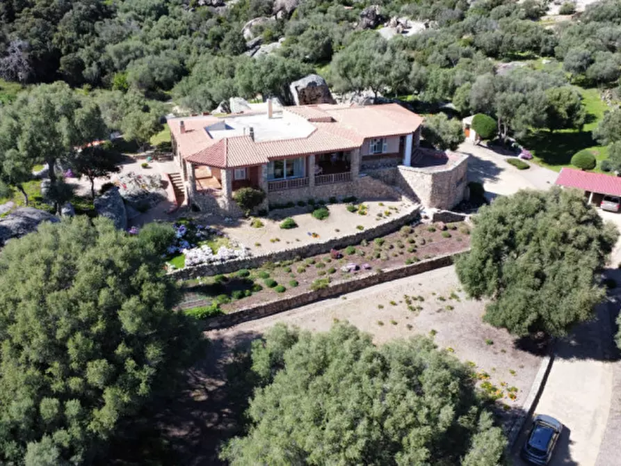 Immagine 64 di Villa in vendita  a Arzachena