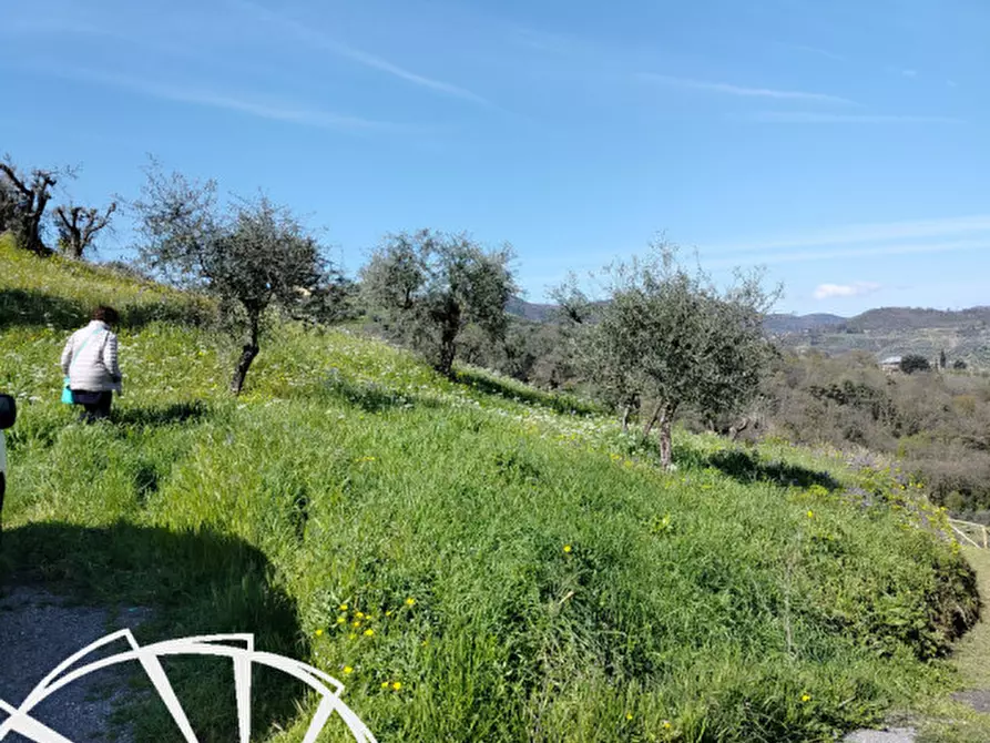 Immagine 2 di Terreno in vendita  in Carmignano a Carmignano