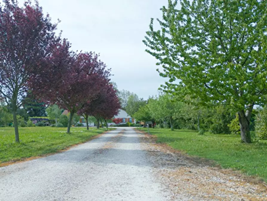 Immagine 24 di Villa in vendita  in Via Maceratoi Gatto a Montagnana