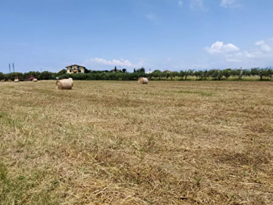 Immagine 5 di Terreno in vendita  in CONTRADA PAPALEONE a Eboli